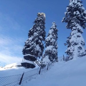 Skiing Trip  (2)